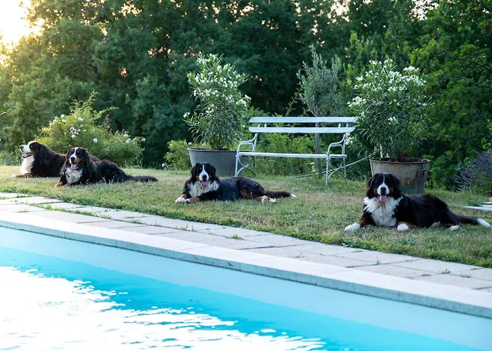 La Bastide De Meilhouret